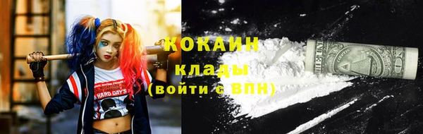 mix Белокуриха