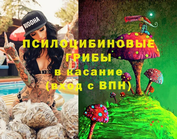 тгк Беломорск
