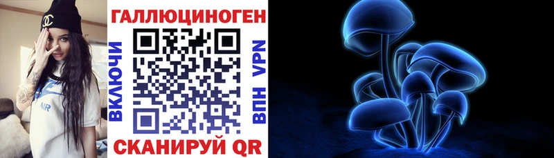 Галлюциногенные грибы Psilocybe  где купить наркоту  кракен сайт  Реутов 